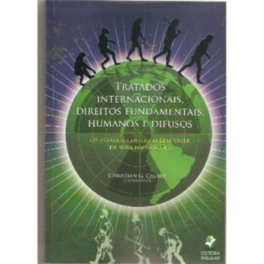 Imagem de Tratados Internacionais, Direitos Fundamentais, Humanos E Difusos