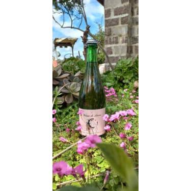 Imagem de Espumante Peverella - N. De Lucca