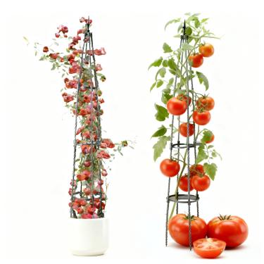 Imagem de YUANAIYI Treliça De Obelisco Jardim Para Plantas Trepadeiras, Tubo Ferro 67 Pés Envolto Em Suporte Plástico, Estrutura Externa Resistente À Ferrugem Rosas, Trepadeiras E Flores, Fácil Montagem, Desi