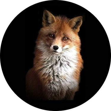 Imagem de Capa para Estepe Pneu Especial Crossfox Fox Raposa 3 CN875 - Lorben
