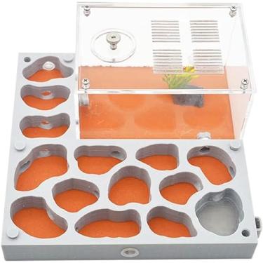 Imagem de 3D Fazenda de Formigas Gesso Ninho de Formiga Caixa de Formicário com Área de Alimentação Formiga Acrílica Rainha Reprodução Castelo Casa de Formiga Ecológica Vila Hidratante Piscina de Água