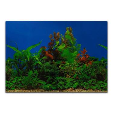 Imagem de Painel Para Aquários Fundo Azul E Plantas Pp-083