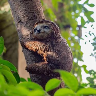 Imagem de Mellsunny Estatuetas de preguiça de resina de preguiça escultura de animal estátua de jardim pendurada ornamento de espiador de árvore para pátio, gramado, varanda, quintal, decorações ao ar livre