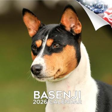 Imagem de Calendário Basenji 2025 2026 - Calendário de parede mensal de raça de cachorro - 30,5 cm x 61 cm aberto - Papel grosso sem derramamento - Presente - Calendário de planejamento e organização de