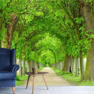 Imagem de Papel de Parede Paisagem Caminho Natureza Sala Painel - 067pcp - Allod