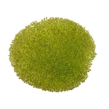 Imagem de Oneabsispong Contas de semente de vidro verde-limão, redondo de 3 mm, 100 gramas, 100 gramas, aproximadamente 3.500 unidades 8/0, cor verdadeira nunca desbota, não pintada, fabricação de joias
