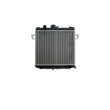 Imagem de Kit Radiador GM Chevette Chevy 500 + Aditivo Radiador Radiex R1892 Rosa Pronto Uso