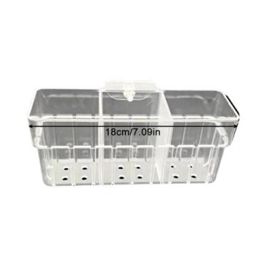 Imagem de Cesto Transparente Para Aquário Hidropônico, Suporte De Parede Para Pl