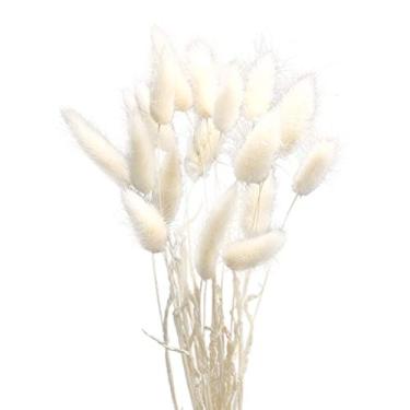 Imagem de 1 pacote/60 peças de decoração de casamento grama seca cauda de coelho, feno plantas secas flores naturais para fotografia arranjo de flores (branco) para suprimentos de capinhas