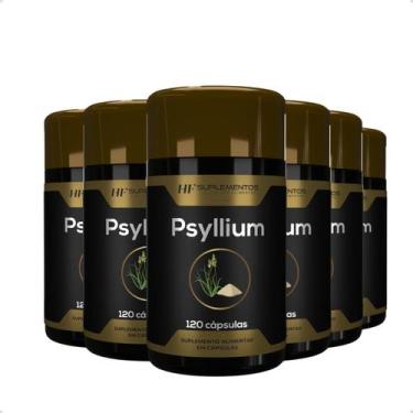 Imagem de 6x psyllium 120 cápsulas hf suplementos