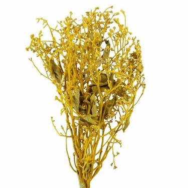 Imagem de Dedo De Anjo Amarelo Flor Desidratada Buque Flores Secas - Pense Flore