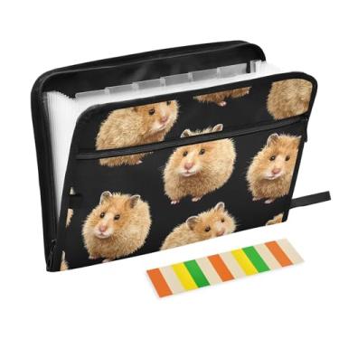 Imagem de CEBUGI Pasta expansível com 13 bolsos, organizador de arquivos sanfonado à prova d'água com etiquetas tamanho A4, organizador de documentos de papel para escola, material de escritório