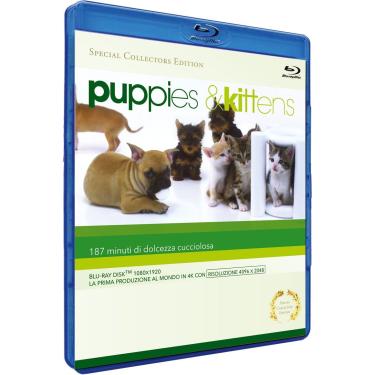 Imagem de Puppies & kittens (special collector's edition) [(special collector's edition)] [Import italien]