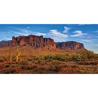 Imagem de BATRUG Fundo de habitat réptil oásis de cacto de montanha alta do deserto de 118 x 45 cm, fundo de terrário com tema de deserto de céu azul natural, fundo de aquário com fita dupla face de 10 EVA