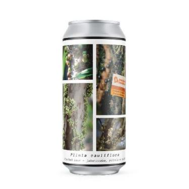 Imagem de Cerveja Greenhouse Plinia Cauliflora Fruited Sour Lata 473ml - no-bran