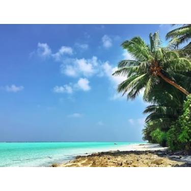 Imagem de Quadro Decorativo com Estampashoreline Tropical Island Maldives And View 40 x 40 Papel 3 unidades