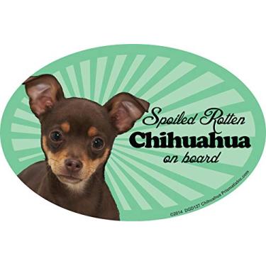 Imagem de Chihuahua (Multi) Ímãs de carro: Chihuahua podre mimado (multi) - Oval 15 cm x 10 cm Auto/caminhão/geladeira/caixa de correio (decalques engraçados de carro, ímã de cachorro, chihuahua (multi)