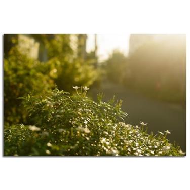 Imagem de Arte de parede de paisagem, pôr-do-sol, impressão em tela, natureza, pôster para decoração de escritório doméstico 61 cm x 40 cm