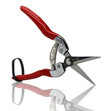 Imagem de Sanung Pruning Shears Ferramentas de jardim Tesouras duradouras afiadas Economia de trabalho para plantas de corte ramos de frutas Arbustos e flores adequadas para parques e pátios