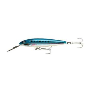 Imagem de Isca Artificial Rapala CDMAG Countdown 14cm 36g Cor BSRD - Rapala, Cor