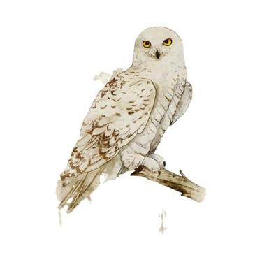 Imagem de Pôster De Lona Para Quarto Infantil, Castelo De Hogwarts, Casa De Abób