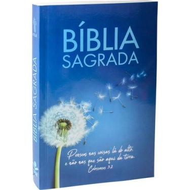Imagem de Bíblia Sagrada Popular NTLH Capa Brochura Ilustrada Azul - SBB