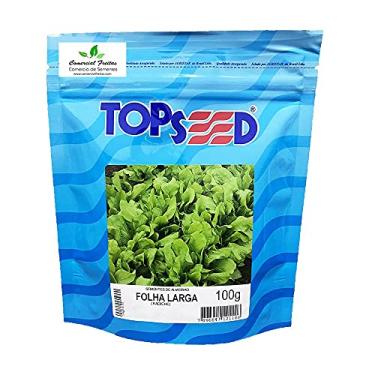 Imagem de Sementes de Almeirão Folha Larga (Radiche) Pcte C/ 100 Gramas