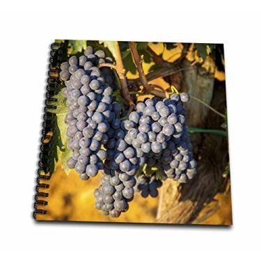 Imagem de 3dRose db_209910_2 Uvas Sangiovese Ripen in A Vineyard, Montepulciano, Toscana, Itália. - Livro de memória, 30,5 x 30,48 cm
