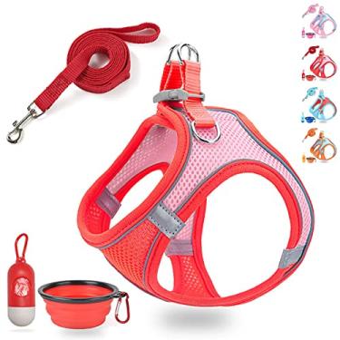 Imagem de LMOBXEVL Arnês para cães pequenos, conjunto de peitoral e guia para caminhadas à prova de fuga, colete confortável de malha de ar com faixa refletiva, colete para animais de estimação ao ar livre para raças pequenas e médias