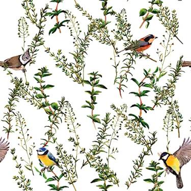 Imagem de Papel De Parede Pássaro Ramo Floresta Autocolante 3m
