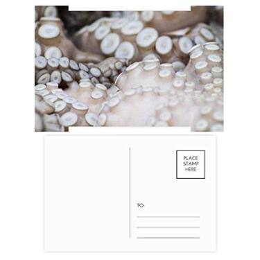 Imagem de Cartão postal de presente de animal de Papai Noel com estampa de lula e tentáculo da Marinha, 20 peças