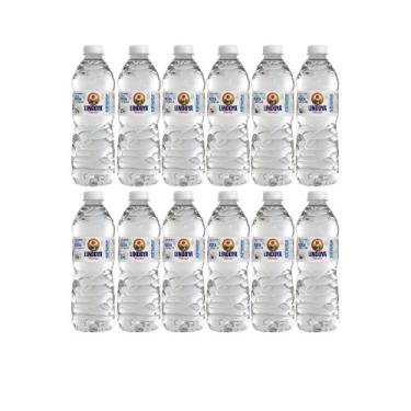 Imagem de Água mineral Lindoya Verao 510ml fardo com 12 unid Sem/gás