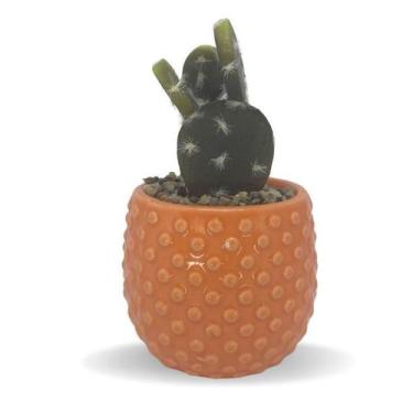 Imagem de Vaso Com Suculenta Em Dolomita E Plástico Cor Laranja 28662 - Full Fit