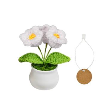 Imagem de Mini vasos de plantas e flores de crochê feitos à mão para apoio emocional | apreciação de professores e funcionários | formatura de aniversário | Decoração de mesa de escritório em casa