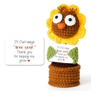 Imagem de Appreciation Gifts for Women Men, Emotional Positive Support Crochet Owl Flower, Thank You Gifts for Women Teachers Mom Coworker Friend Boss Lady Birthday Retirement Back to School Last Day of School