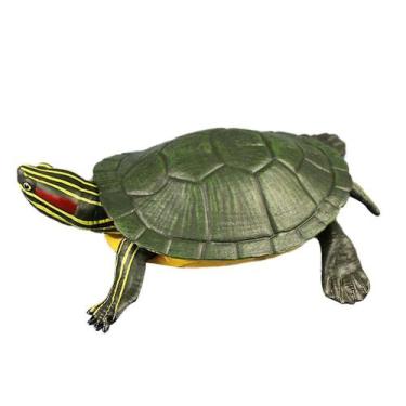 Imagem de Modelo de brinquedo Brazilian Tortoise educativo para crianças - Gloom