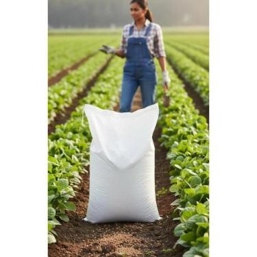 Imagem de 2x Adubo Liberação Lenta Suculentas Cactos Rosa Deserto 1kg - Congratu