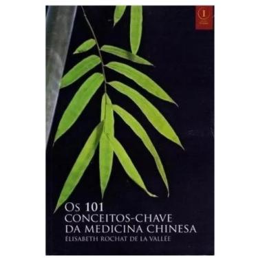 Imagem de 101 Conceitos-Chave Da Medicina Chinesa
