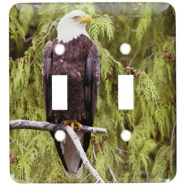 Imagem de 3dRose lsp_45624_2 Águia careca empoleirada em uma árvore alta. (Haliaeetus leucocephalus). Monumento nacional Misty Fiord, interruptor de alternância do Alasca