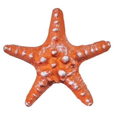 Imagem de Estrela Do Mar Resina P/ Pendurar Parede Pousada Praia Casa  - M3 Deco