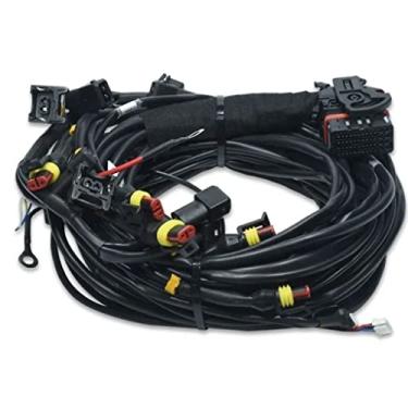 Imagem de Cabo Chicote Para Módulo Sgas 148 4 Cilindros gnv