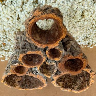 Imagem de Tronco Tubo Cork Bark Naturaloco - Tubo Cork Bark Natural - Madeira - Toca para Répteis e Roedores em Cortiça e para planto de suculentas
