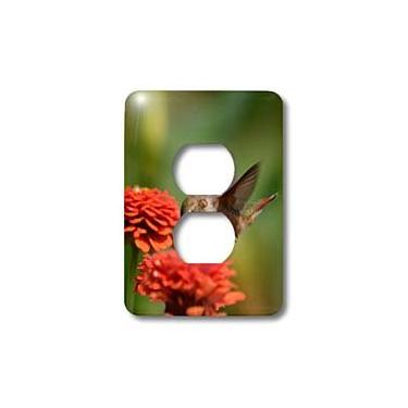 Imagem de 3dRose Tampa de tomada de zinnias laranja e beija-flor lsp_63595_6