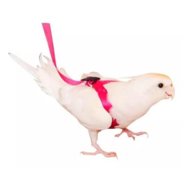 Imagem de Coleira Guia E Peitoral Para Calopsita