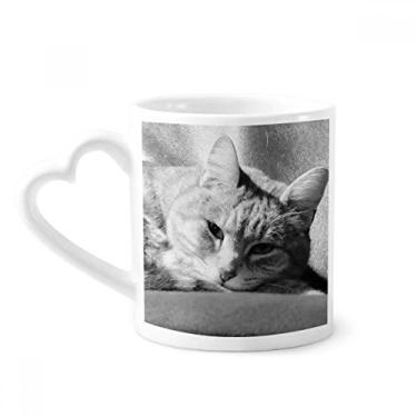 Imagem de Caneca com foto de gato cinza puro animal caneca de cerâmica copo de coração de vidro