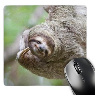 Imagem de 3dRose Mouse pad LLC 20 x 20 x 0,63 cm, bicho-preguiça marrom corcovado Costa Rica Jim Goldstein (mp_87171_1)