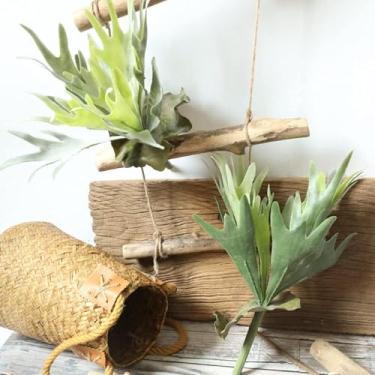 Imagem de QFSH 2 peças de samambaia artificial artificial flocada falsa plantas suculentas em vaso verde para decoração interna e externa