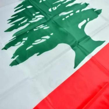 Imagem de Bandeira Do Líbano 150x90cm Poliéster Linda Envio imediato - WCAN