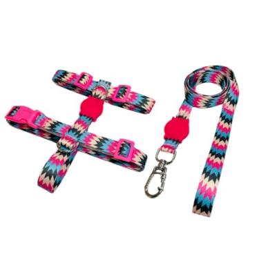 Imagem de Coleira Peitoral H Anti Puxão e Guia 1,10m para Cachorro Varias Estampas(Xplosion,M)