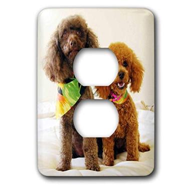 Imagem de 3dRose Capa de tomada de 2 plugues para filhote de poodle lsp_1096_6